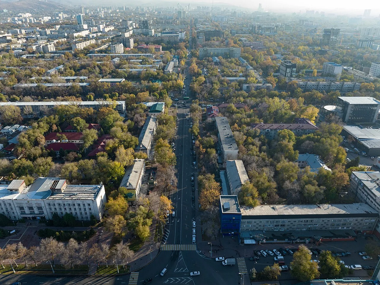 Проспект Абылай хана сверху, с севера, ноябрь 2022: прямая улица уходит вдаль между кварталами, по сторонам осенние кроны, крыши, дома. Отсюда видно, как проспект режет город по линейке от вокзала к горам. Фото: Nikolai Bulykin, Wikimedia Commons, CC BY-SA 4.0