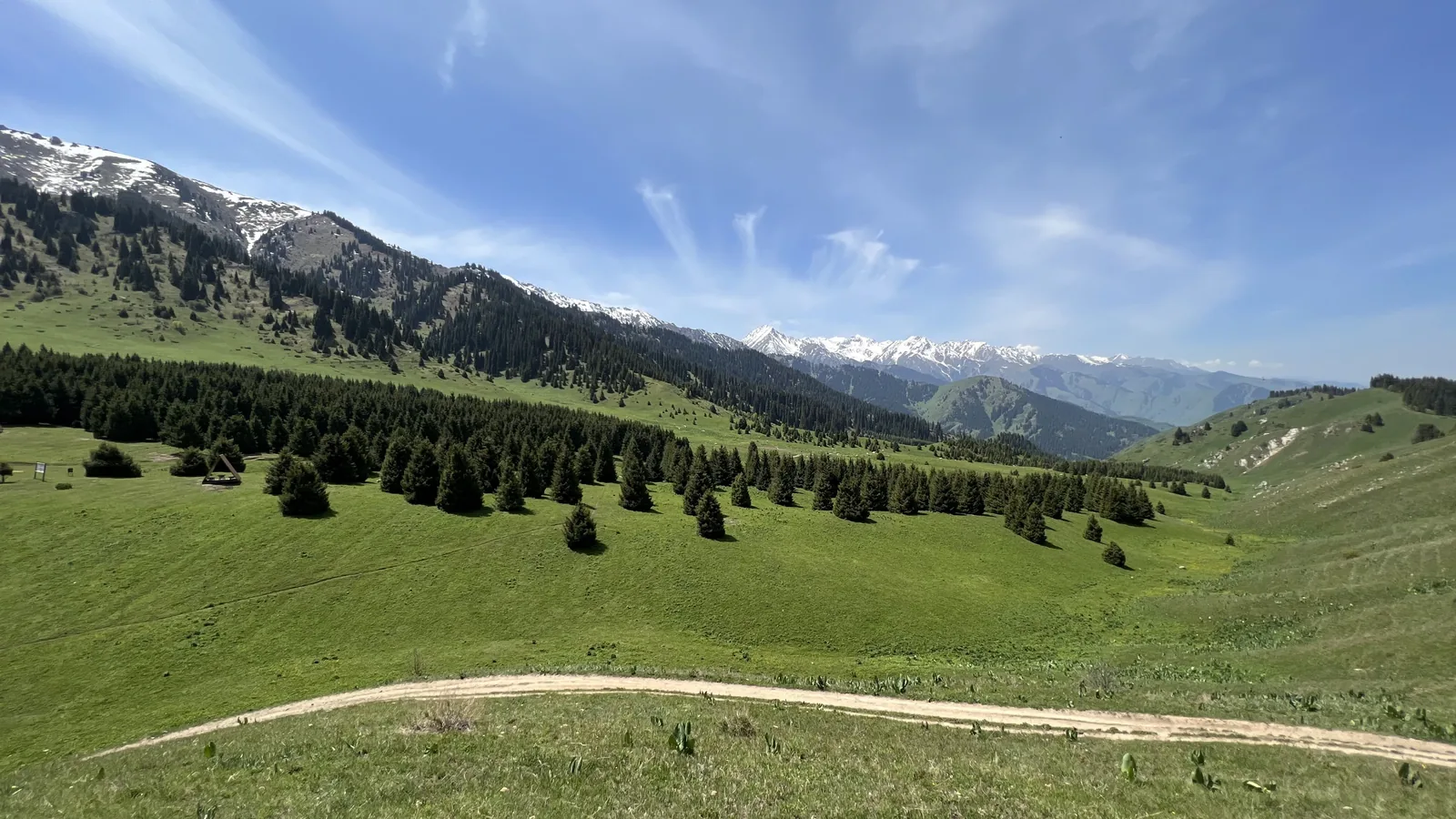Летний луг в предгорьях: короткая трава, ели, снег на дальнем хребте, грунтовая дорога. Днём здесь ходят в ботинках; ночью та же трава становится прохладной и мокрой, и ступни узнают о ней больше, чем глаза. Фото: Валентин Шафранов