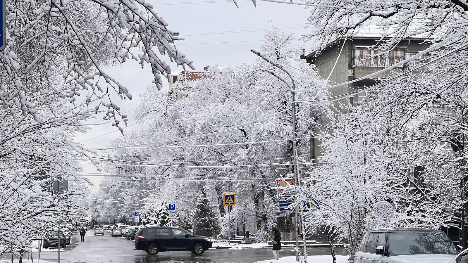 Городская улица после снегопада, ветки ещё держат снег. Когда тучи уйдут, ищите сторону, где снег на ветках первым начнёт таять: там и будет ваше солнце. Фото: Валентин Шафранов